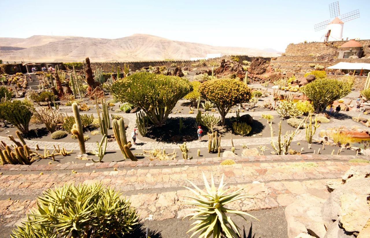 Casa Valle De Palmeras Ариа Экстерьер фото